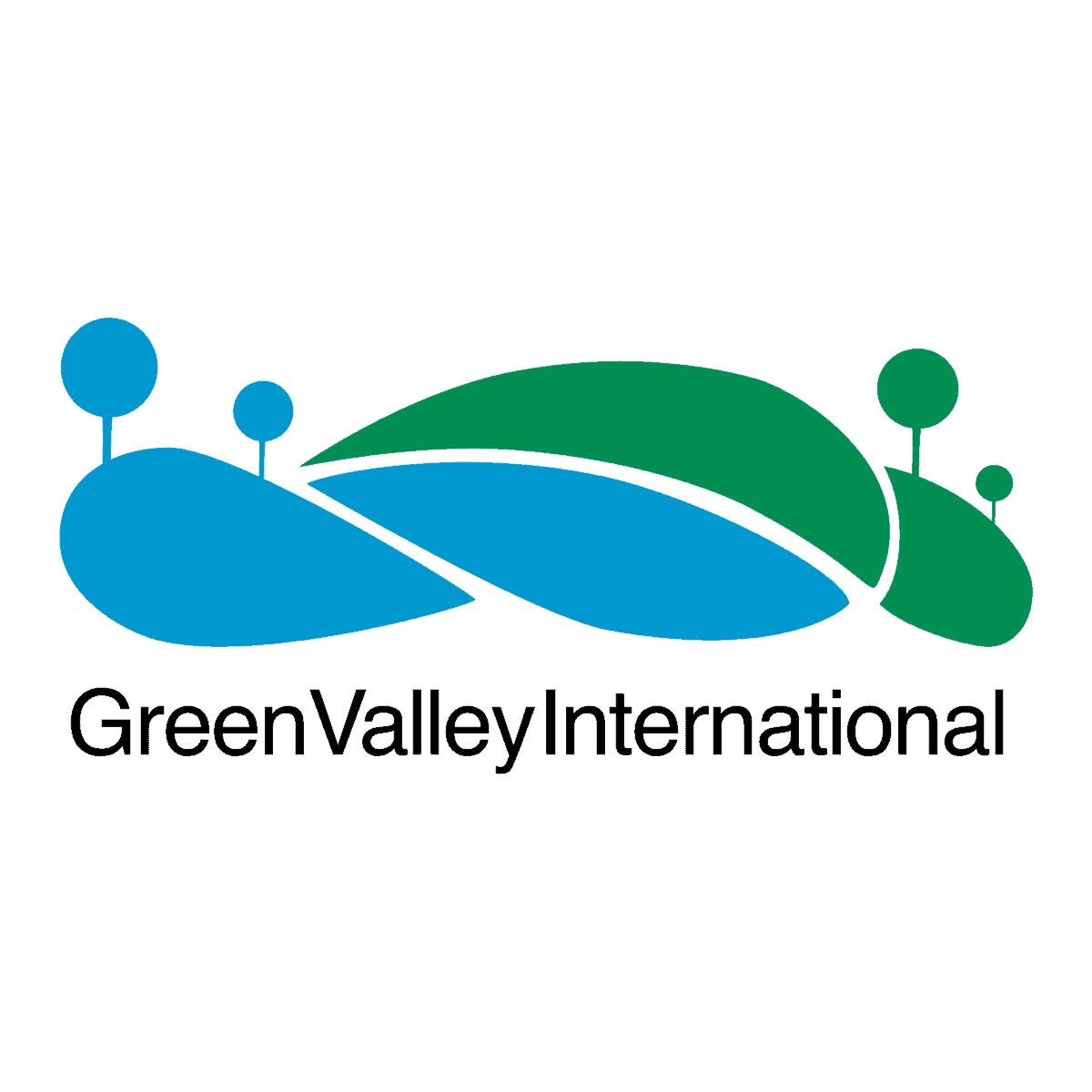 Green Valley International LiDAR 360